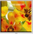 /album/photo-gallery-canvas-uri/decoratiuni-de-perete-canvas-lc-0023-jpg/
